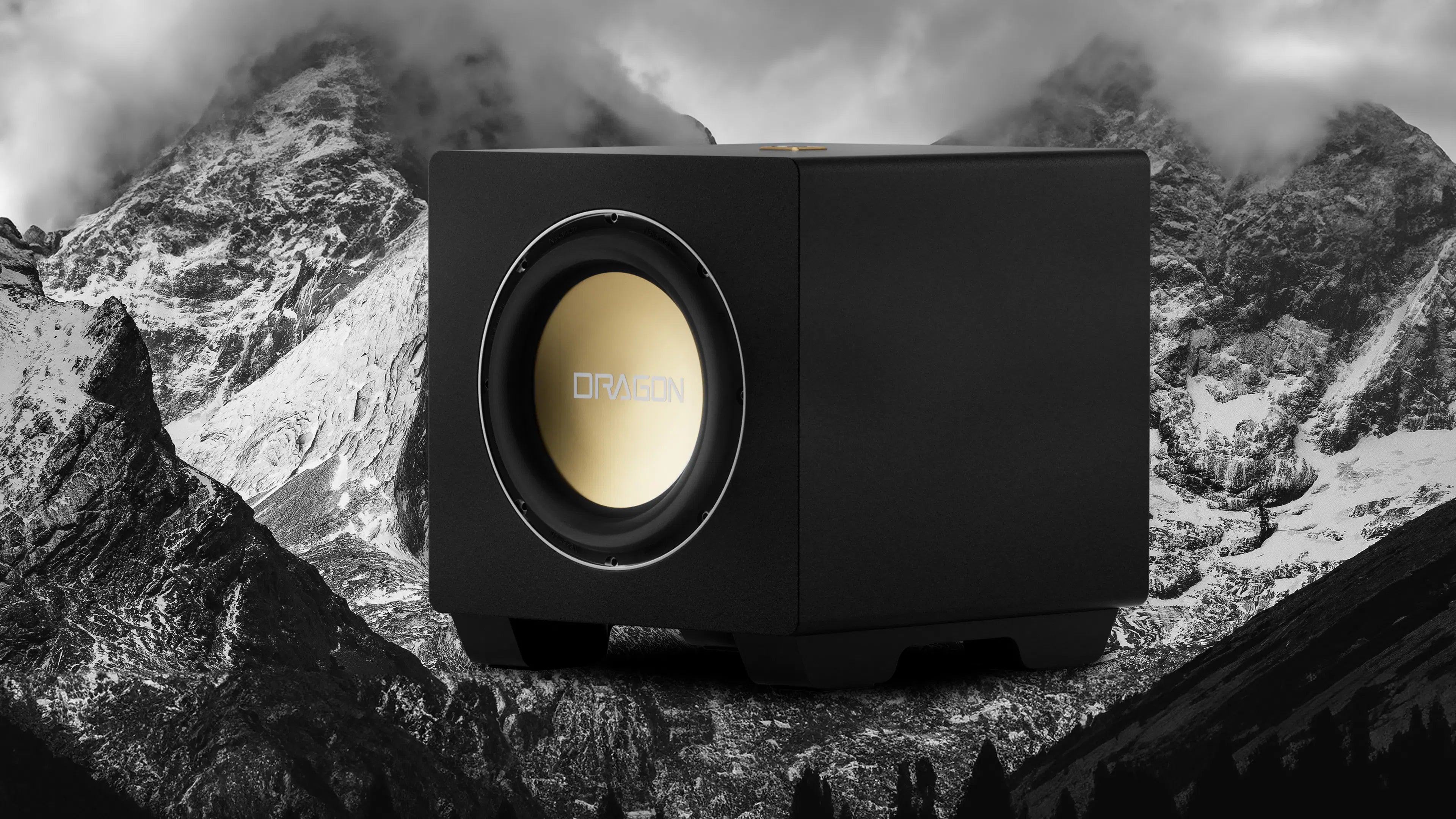 Nakamichi Modular 12" Subwoofer Expansion