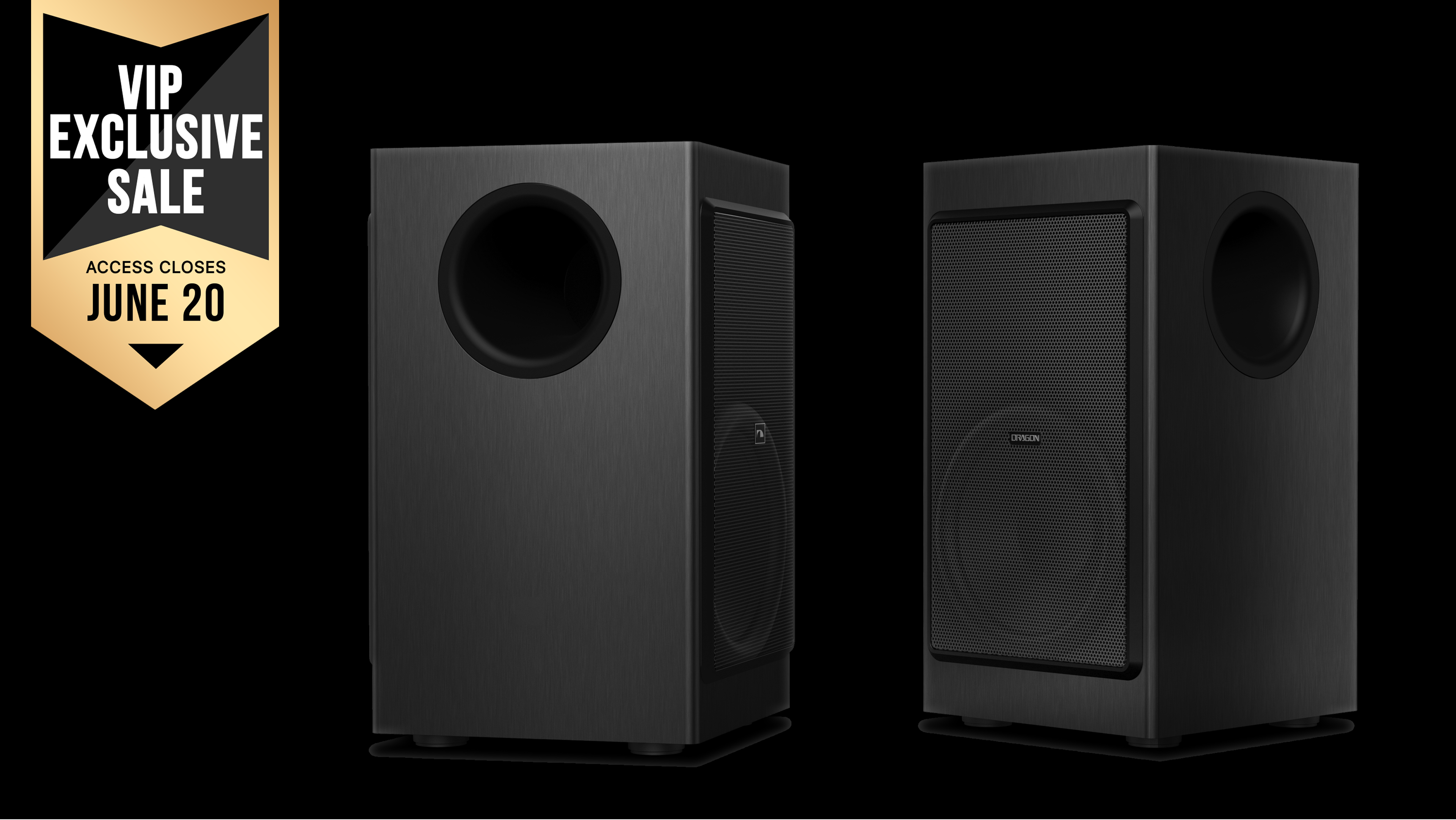 Nakamichi Dual 8" Subwoofers (Set of 2)
