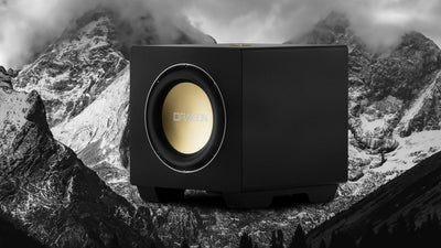 Nakamichi Modular 12" Subwoofer Expansion